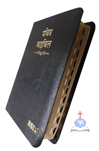 Hindi (OV 25) Compact Bible with Thumb Index
